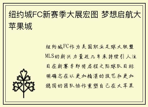 纽约城FC新赛季大展宏图 梦想启航大苹果城
