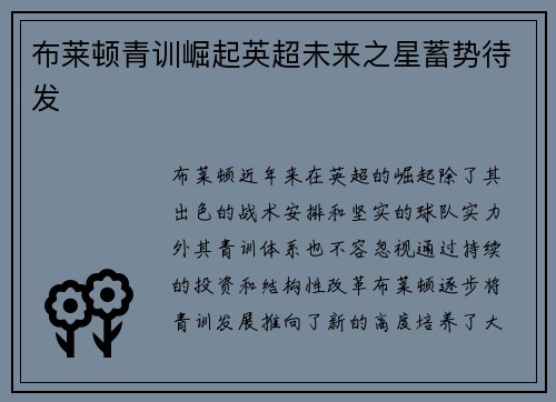 布莱顿青训崛起英超未来之星蓄势待发